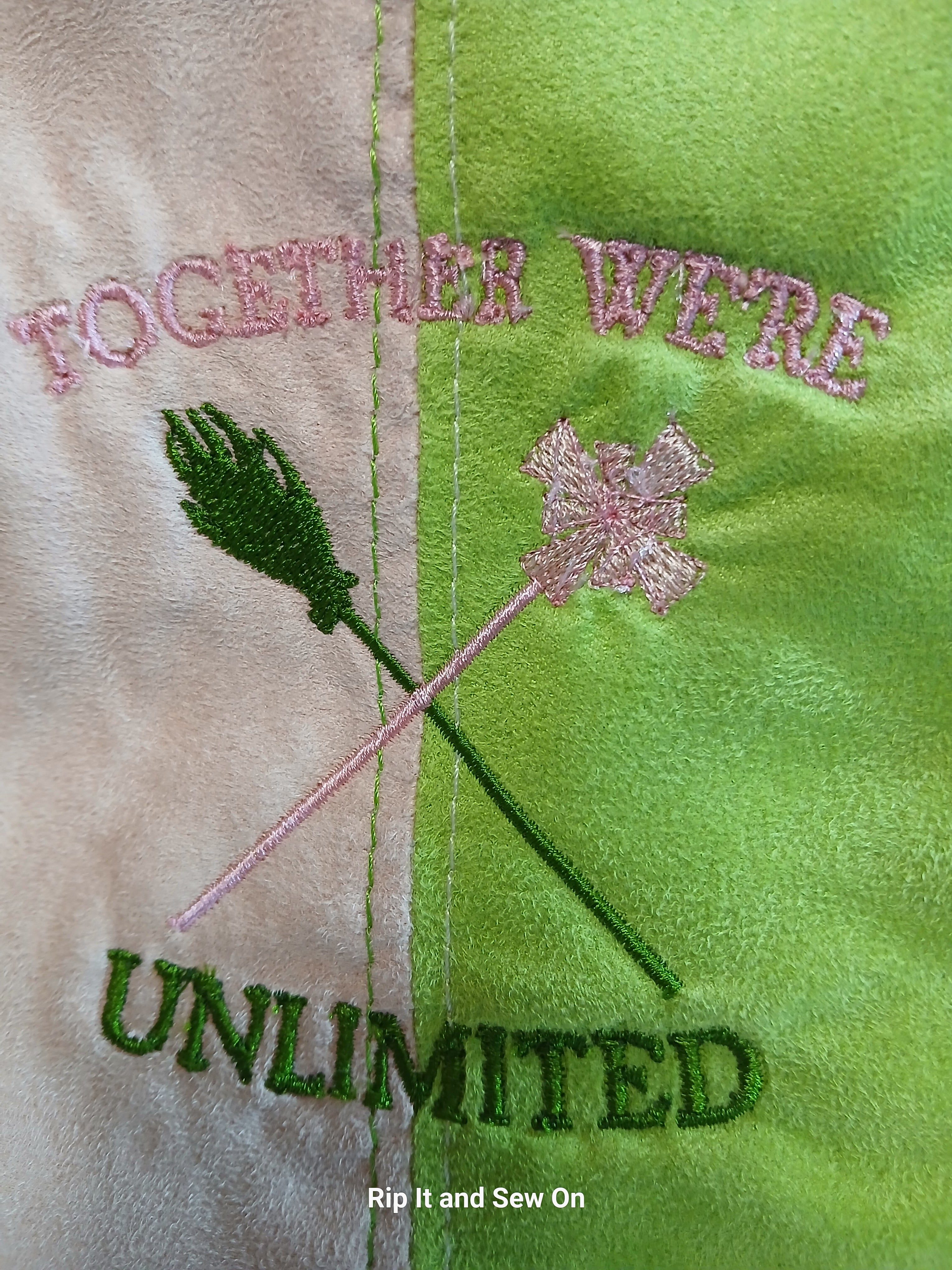 Wicked unlimited embroidered hobo bag